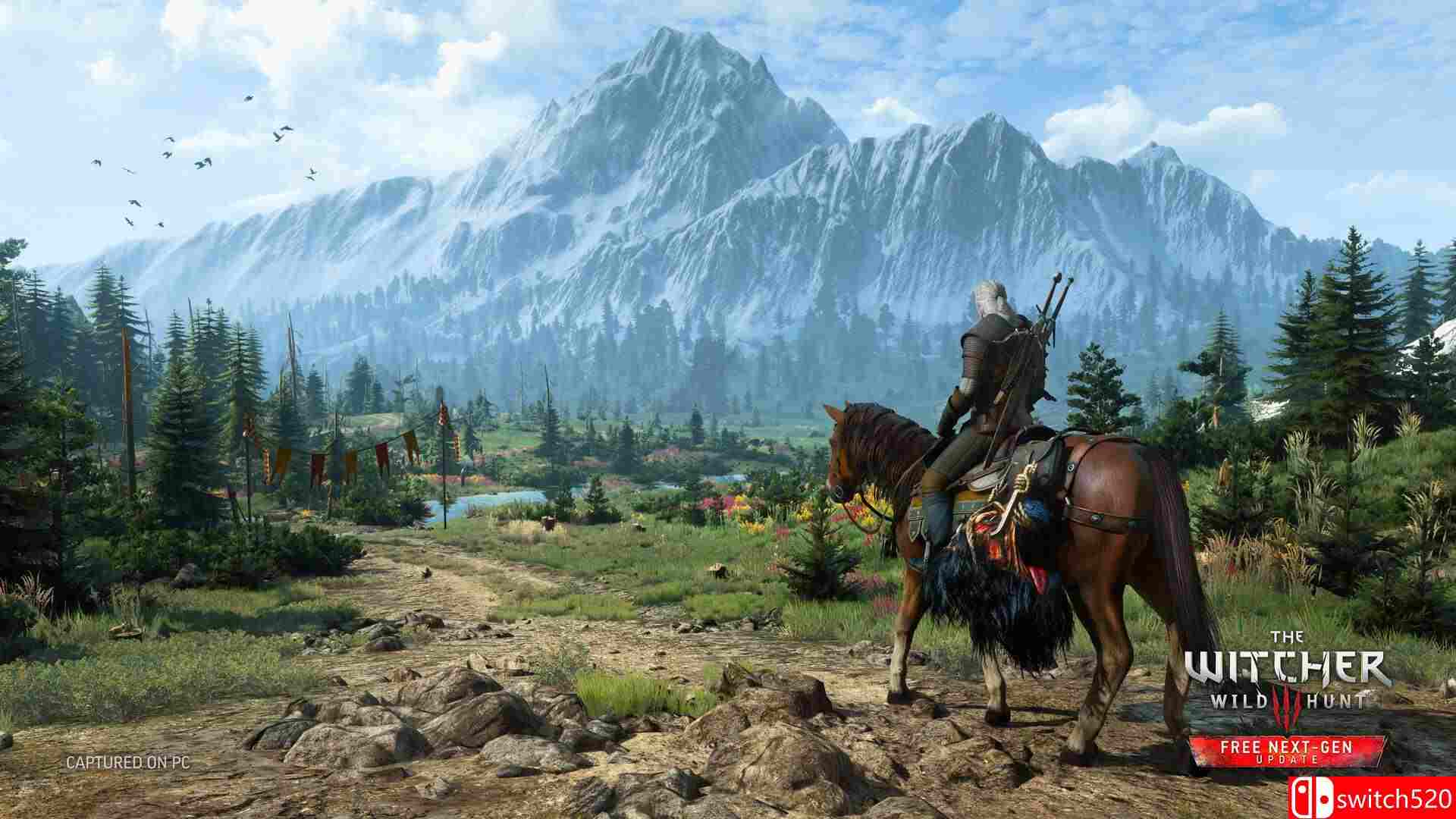 《巫师3:狂猎 The Witcher 3: Wild Hunt》Switch美版中文+4.04B补丁+5DLC_1