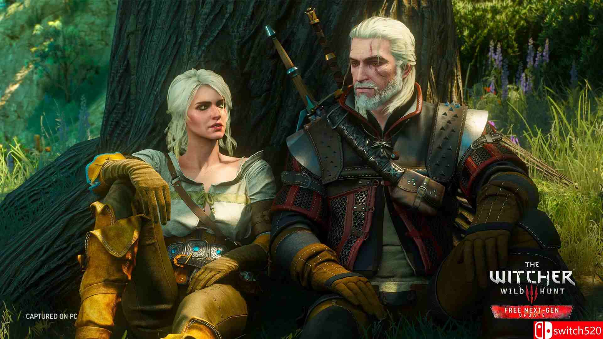 《巫师3:狂猎 The Witcher 3: Wild Hunt》Switch美版中文+4.04B补丁+5DLC_2