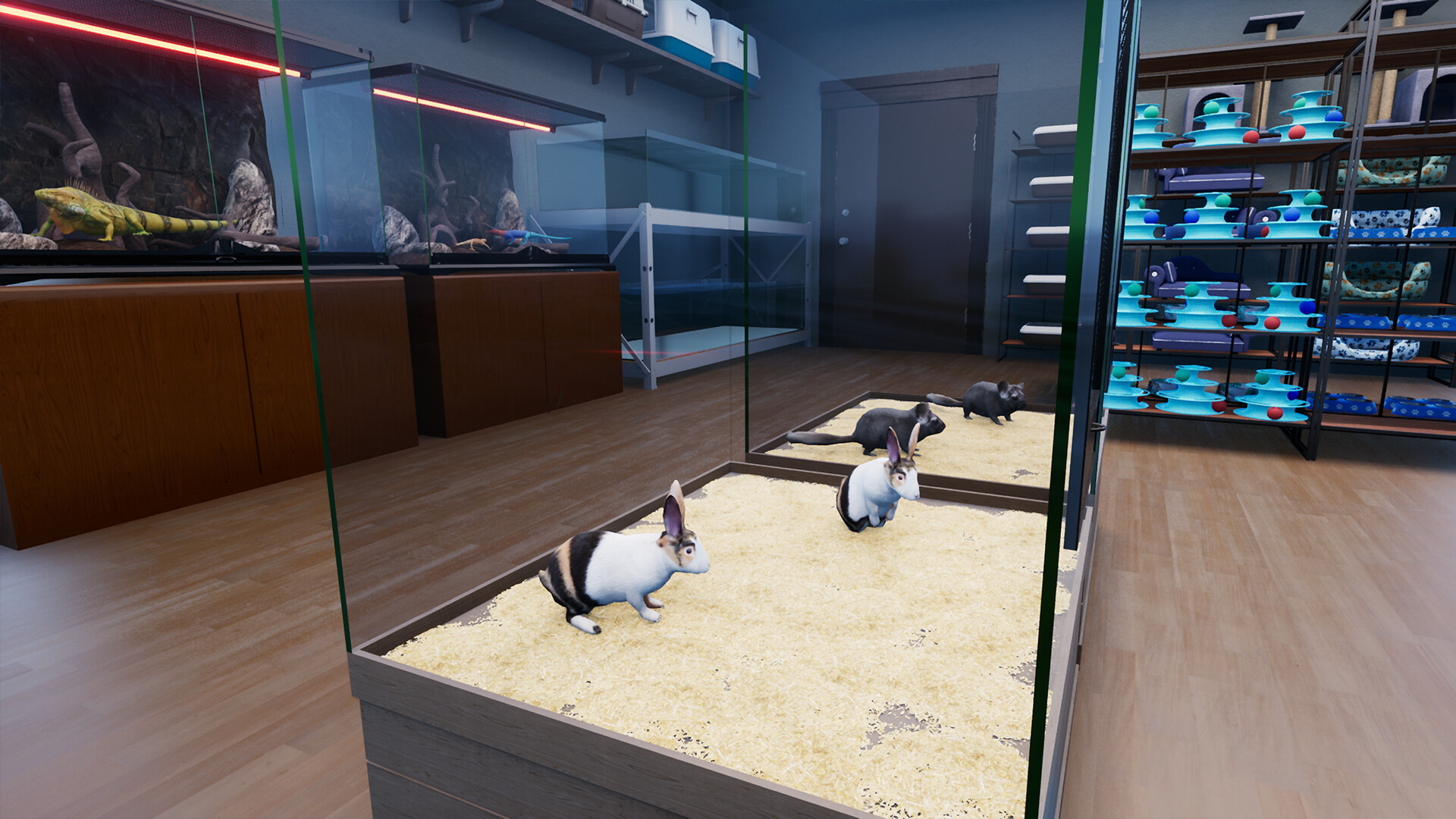 《异域风情2:宠物店模拟器/Exotica 2: Pet Shop Simulator》PC中文版下载-含v1.1.6.1_1