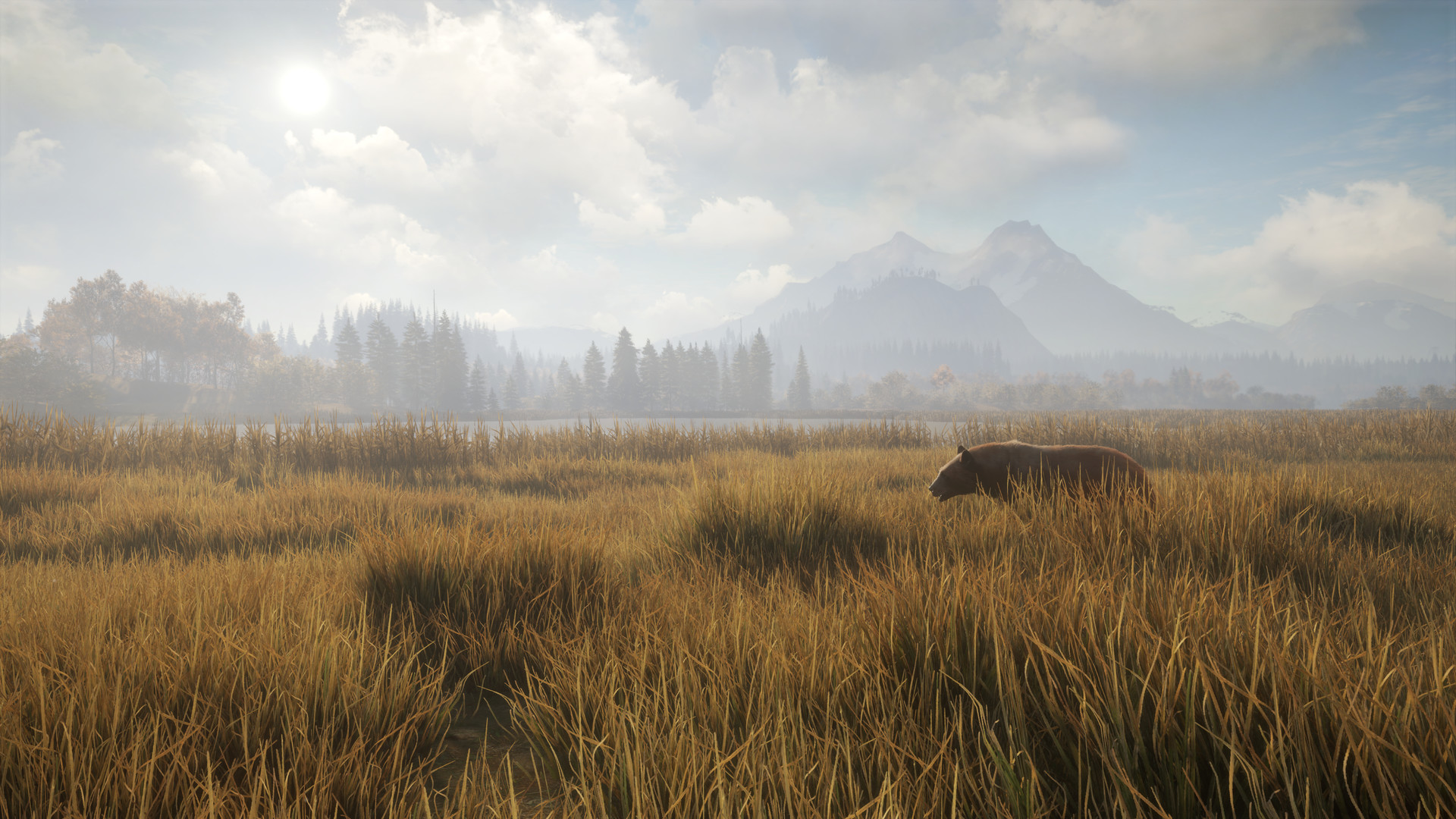 《猎人:荒野的召唤/theHunter: Call of the Wild》PC中文版下载-含Build.24022026联机版_1