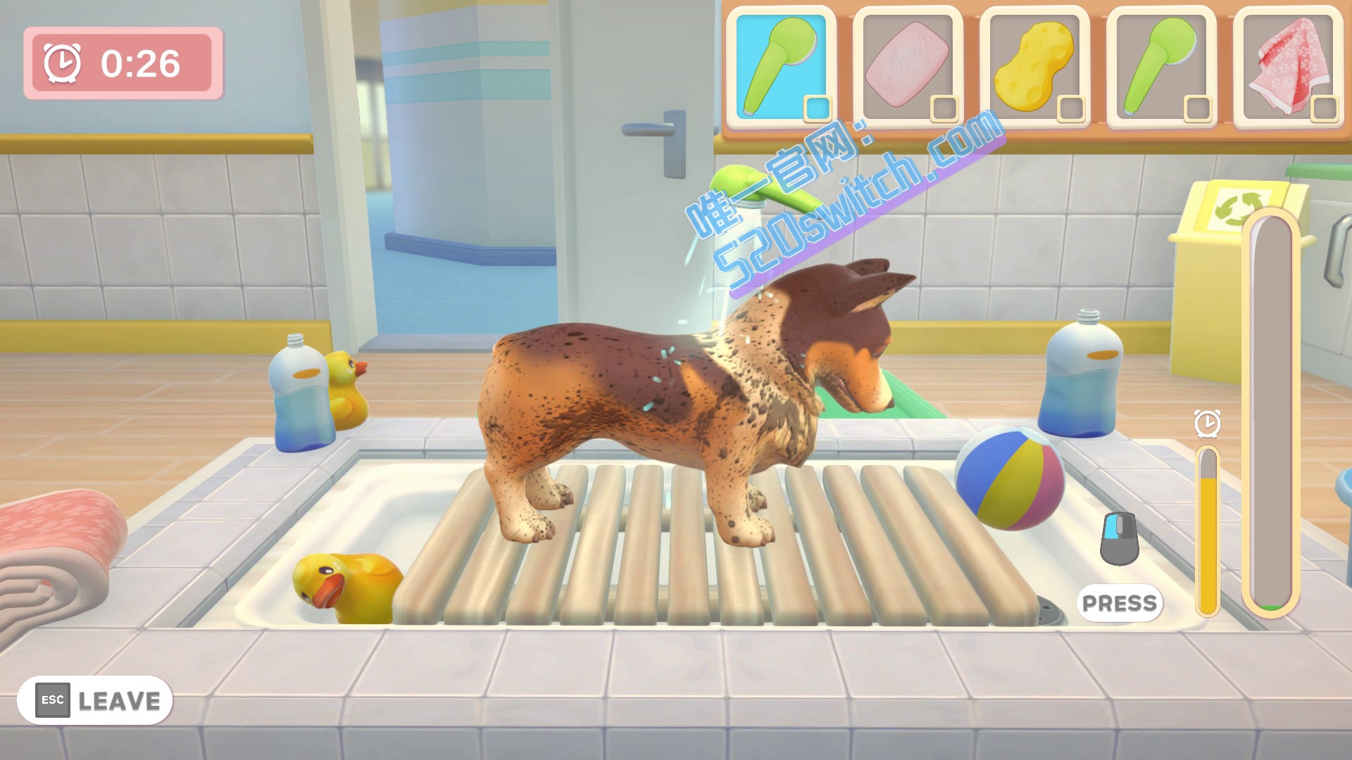 《我的领域:PET诊所猫和狗 My Universe – Pet Clinic Cats & Dogs》Switch美版英文+1.2.3补丁_1
