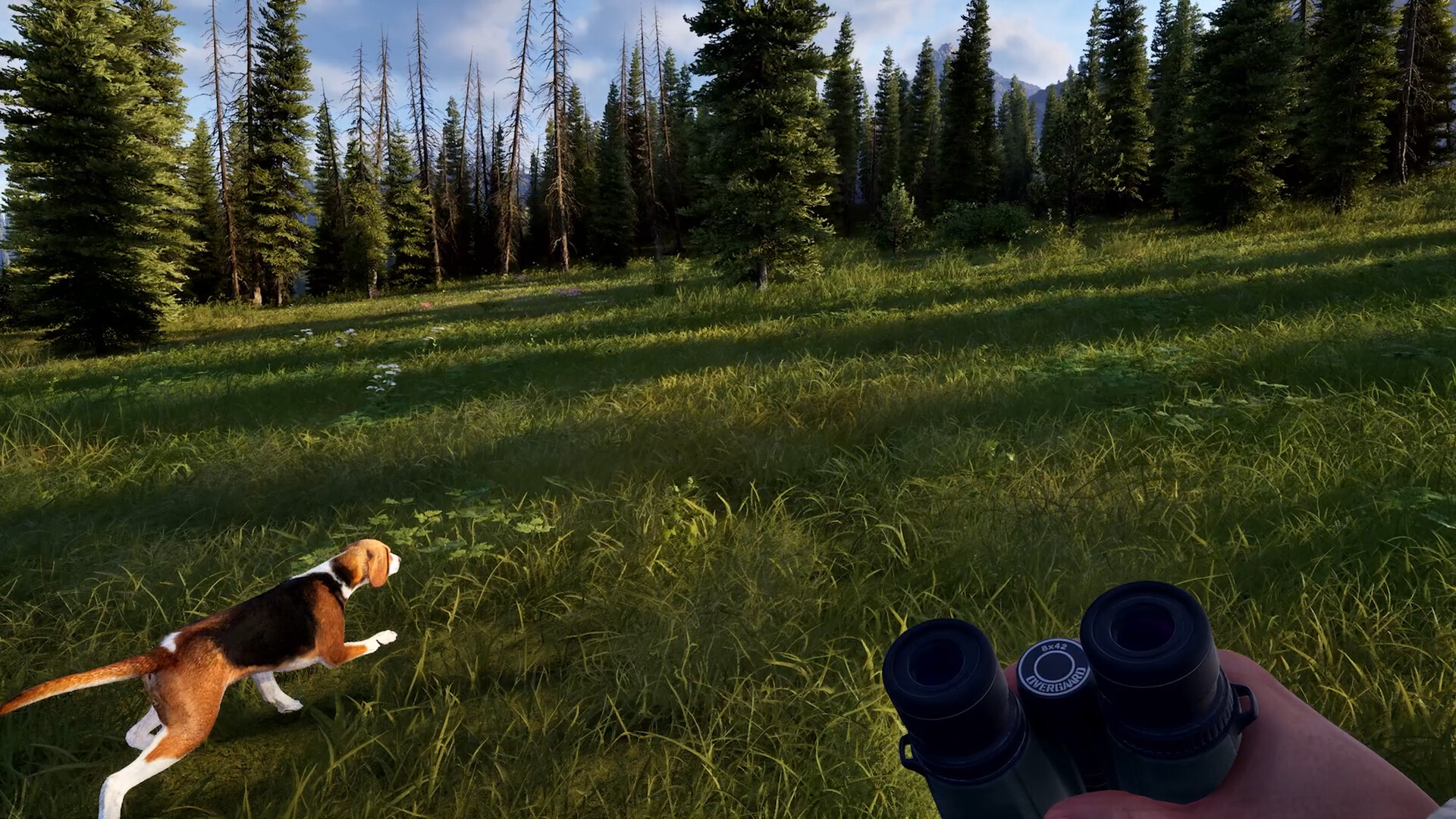 狩猎之道2/Way of the Hunter 2_1