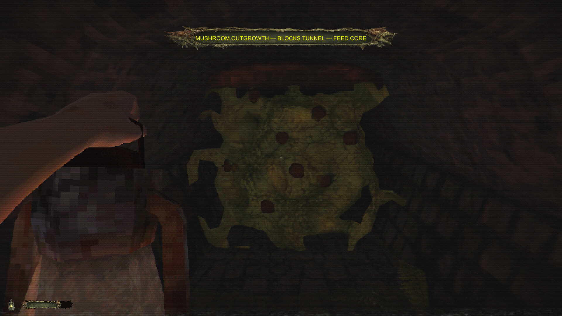 《CHWÆST:寄生恐怖来袭/CHWÆST: A Creeping Parasite Horror》PC中文版下载-含Build.22200974_1