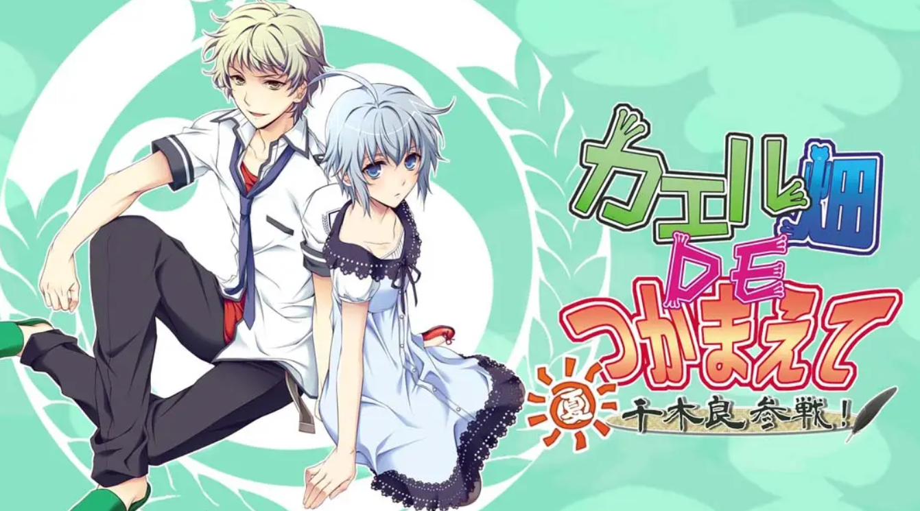 《蛙畑奇事 夏 千木良参战!Catch the frog field DE ・ Summer Chiki Ryo participates!》Switch版1.0.0补丁_0