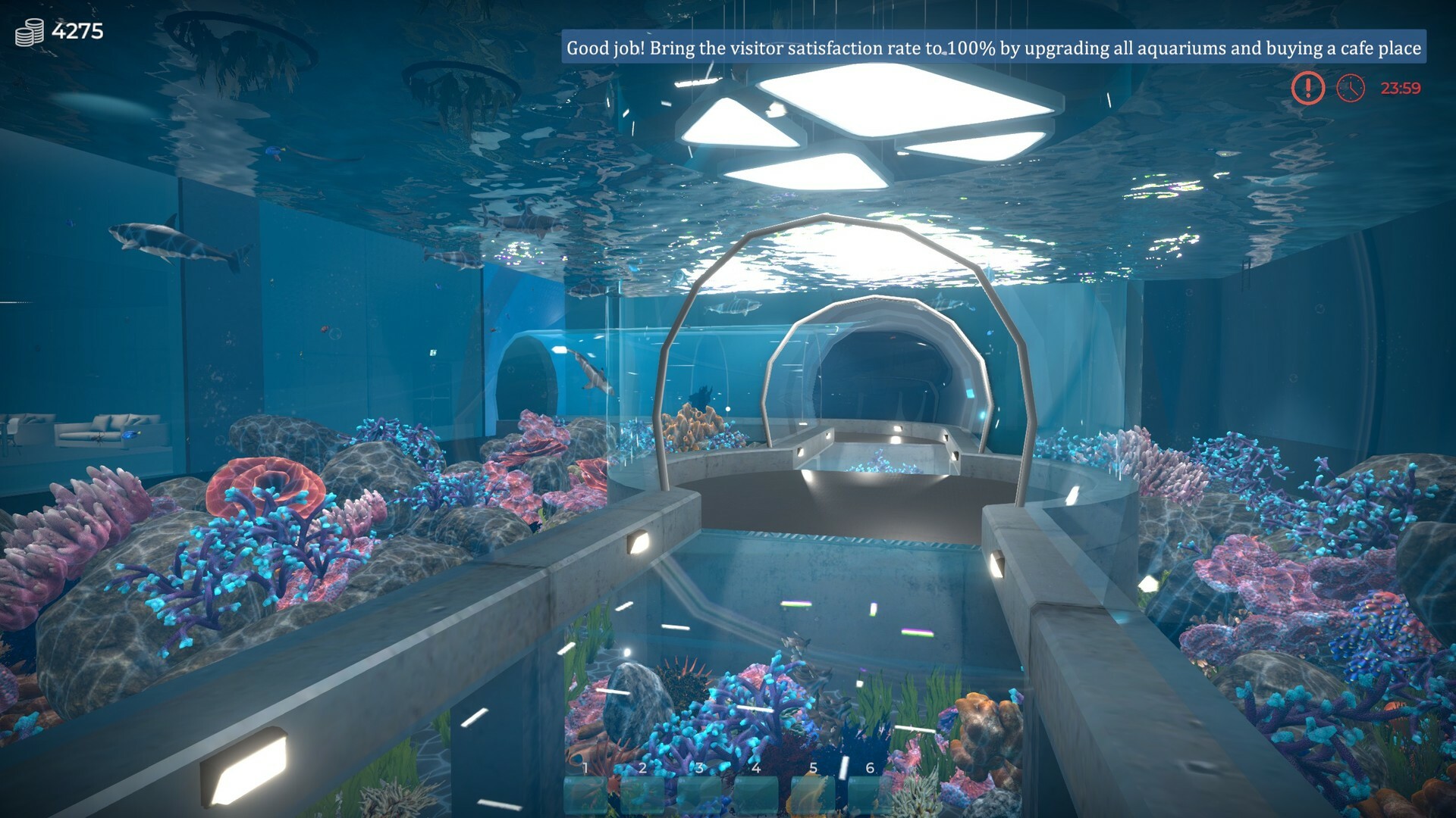 《水族馆管理人 Aquarist》Switch版1.1补丁_1