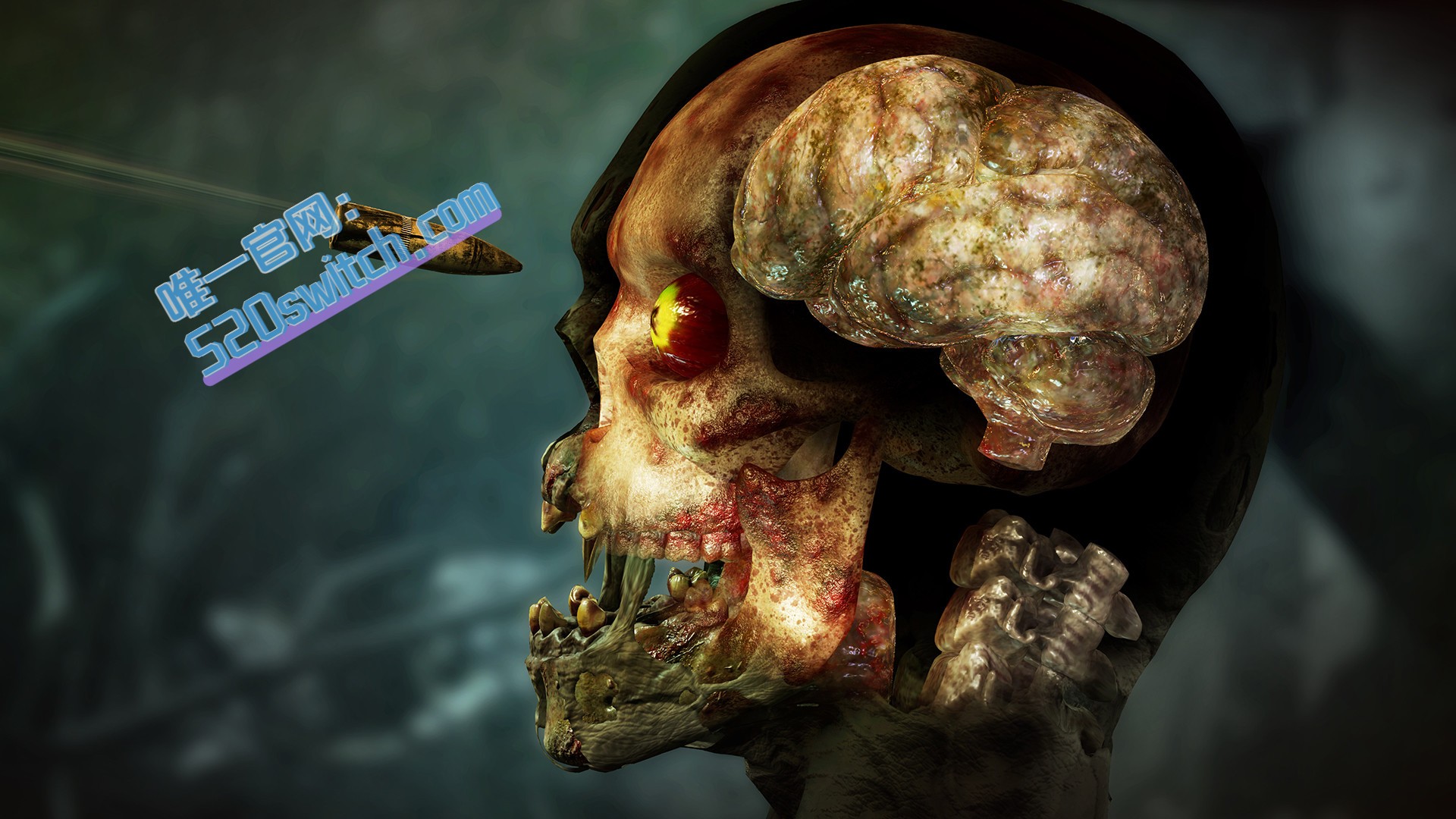 《僵尸部队4:死亡战争 Zombie Army 4: Dead War》Switch日版中文+1.1.0补丁+1DLC_2
