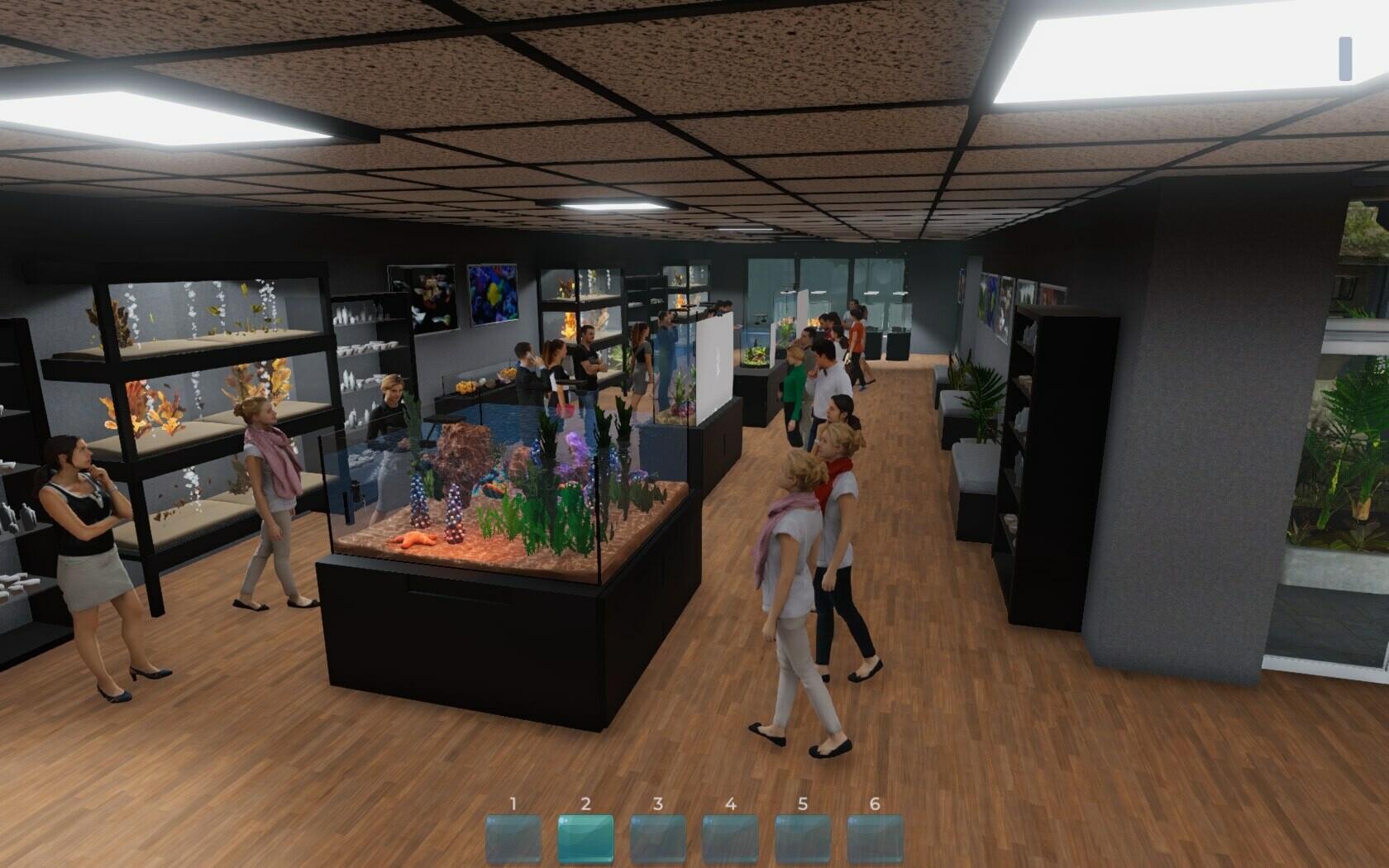 《Aquarist – 建造水族馆,养鱼,发展你的事业!》PC版v20260404_2