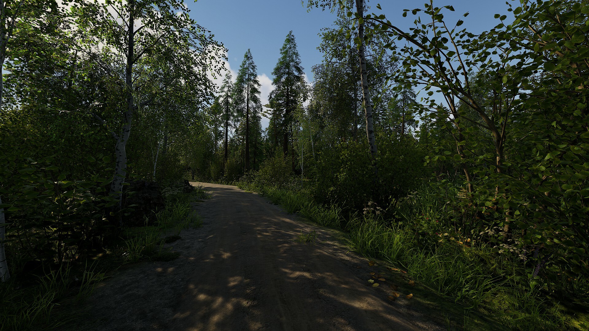 《芬兰小屋模拟器/Finnish Cottage Simulator》PC版Build.23151899_2