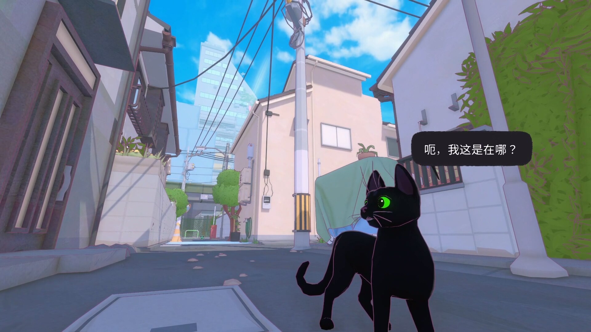 [5.05]《小猫咪大城市》PS4版+1.10.补丁_2