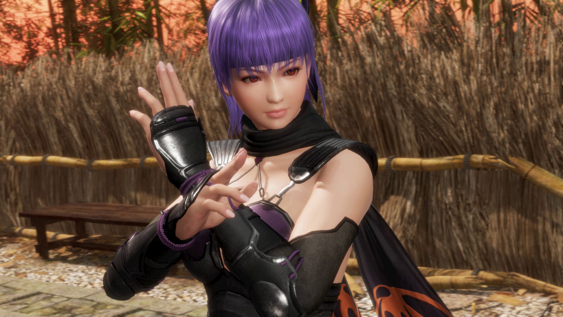 《死或生6:最后一战/DEAD OR ALIVE 6 Last Round》PC版含v1.00a_2