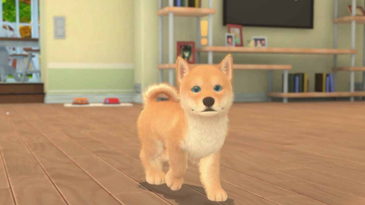《我的领域:小猫小狗 My Universe – Puppies and Kittens》Switch版+1.0.2补丁_2