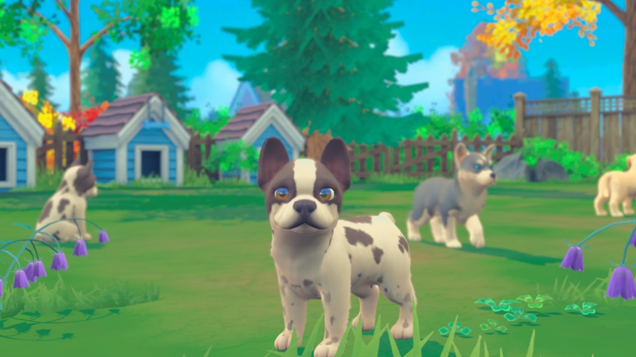 《我的领域:小猫小狗 My Universe – Puppies and Kittens》Switch版+1.0.2补丁_1